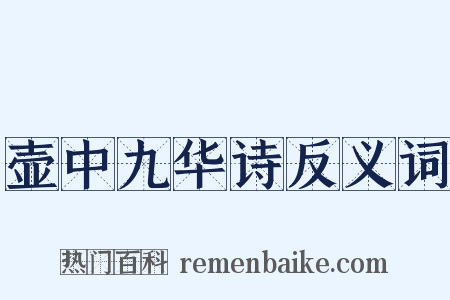 壶中九华诗反义词是什么意思的图片